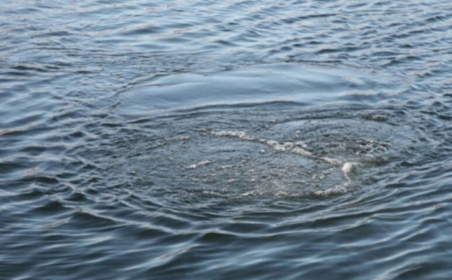 Фото до матеріалу: У Львові та прилеглих селах 7 травня відключать воду: список адрес та місця для набрання