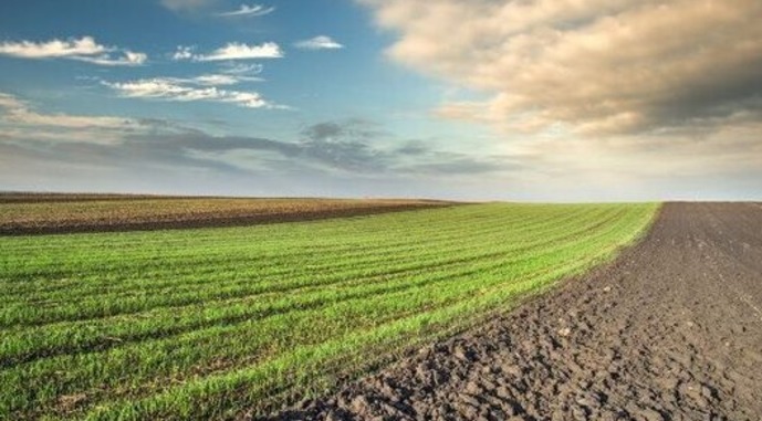 Фото до матеріалу: В Україні впроваджено новий правовий режим для земель під торфовищами