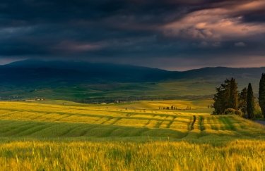 Фото до матеріалу: Земельні облігації: чи зацікавлять вони українців як альтернатива ОВДП