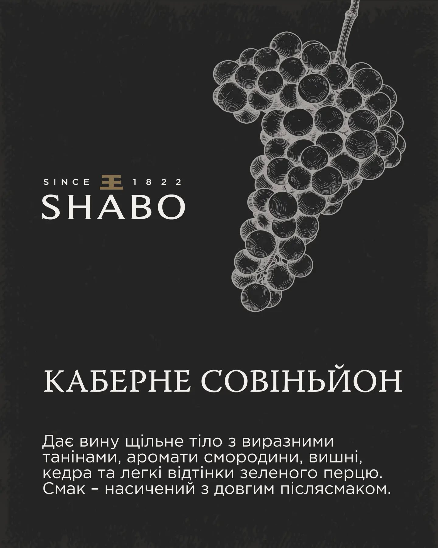 Фото до матеріалу: SHABO розкриває «симфонію» смаків: новий погляд на українське вино