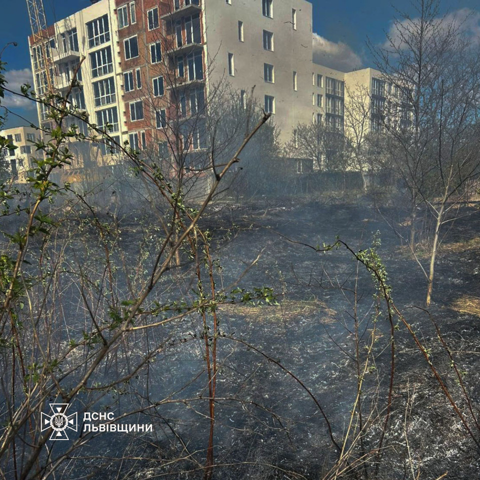 Фото до матеріалу: На Львівщині вирували потужні пожежі: з'явилися фото