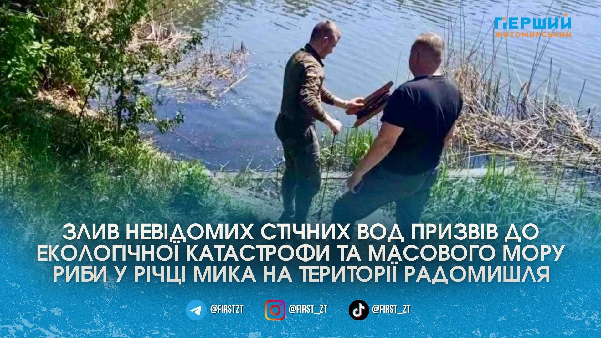Фото до матеріалу: Масовий мор риби в Радомишлі: у річці Мика загинуло 3,5 тисячі особин через скидання стоків