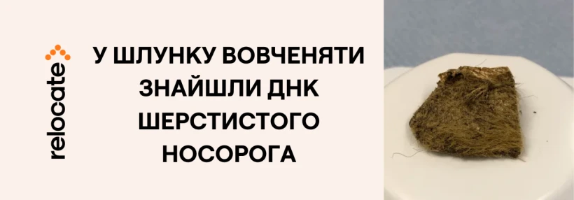 Фото до матеріалу: У травні 2026 року над Україною з'являться два повні Місяці: Квітковий та Блакитний