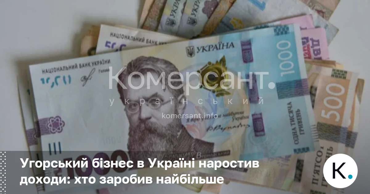 Фото до матеріалу: Угорський бізнес в Україні наростив доходи: хто заробив найбільше