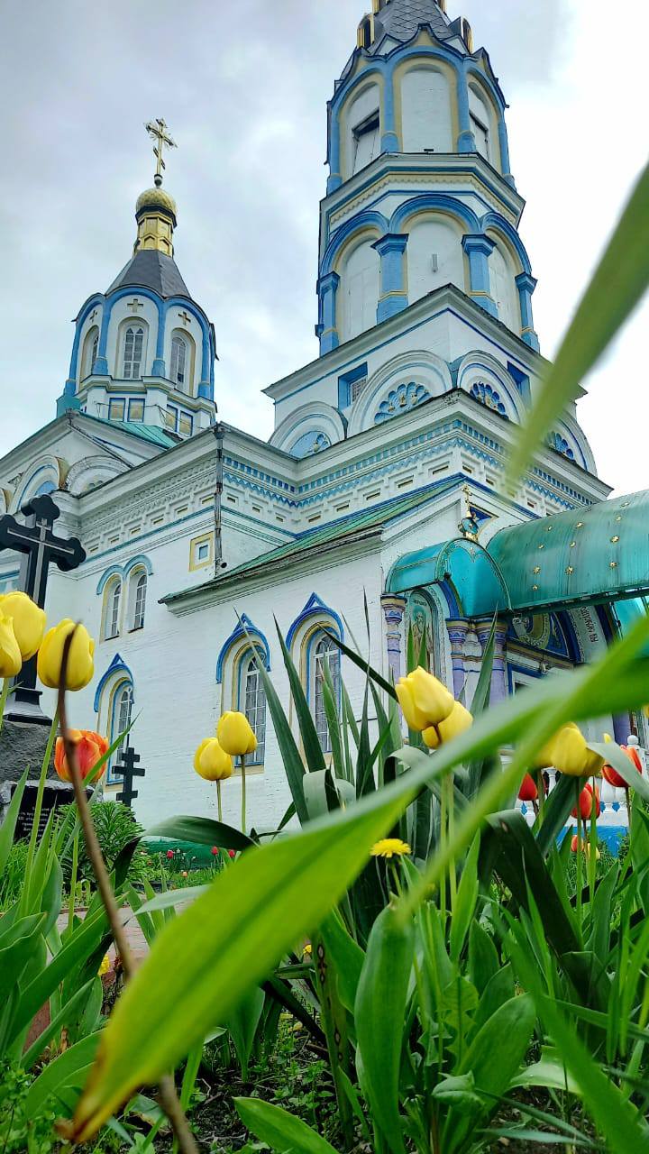 Фото до матеріалу: Чорнобиль сьогодні: реальність замість міфів