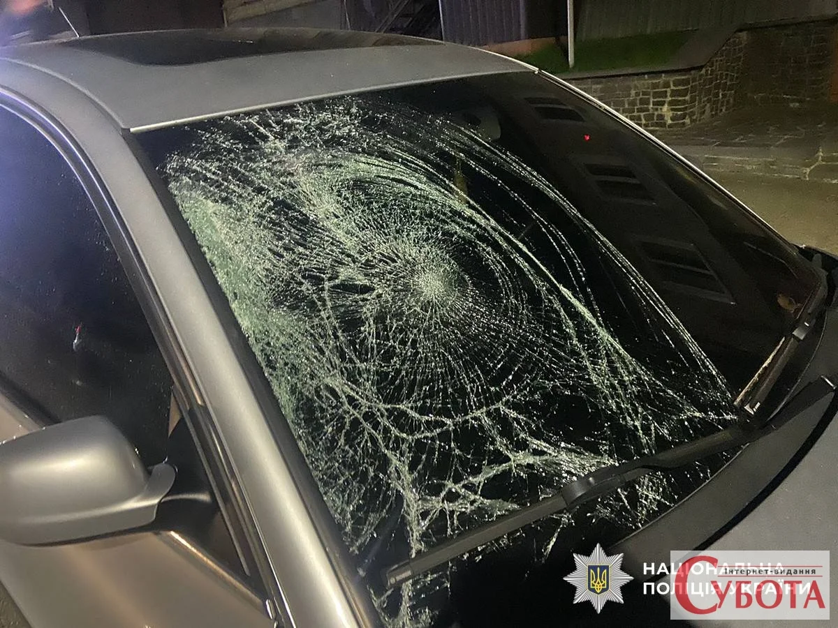Фото до матеріалу: У Радомишлі 19-річна дівчина без прав збила жінку: деталі аварії та наслідки для водія
