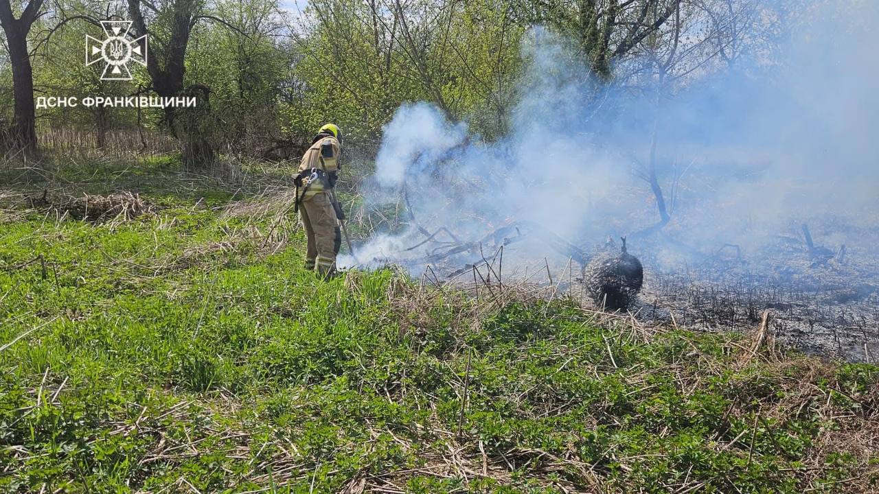 Фото до матеріалу: На Прикарпатті за добу загасили п’ять пожеж у природних екосистемах