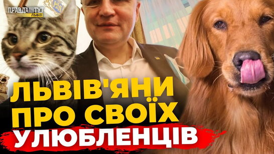 Фото до матеріалу: Чи повернеться молодь до Львова: результати опитування про еміграцію