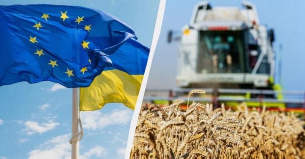 Фото до матеріалу: Грошей ніхто не дасть: швидкий вступ до ЄС боляче вдарить по українських аграріях