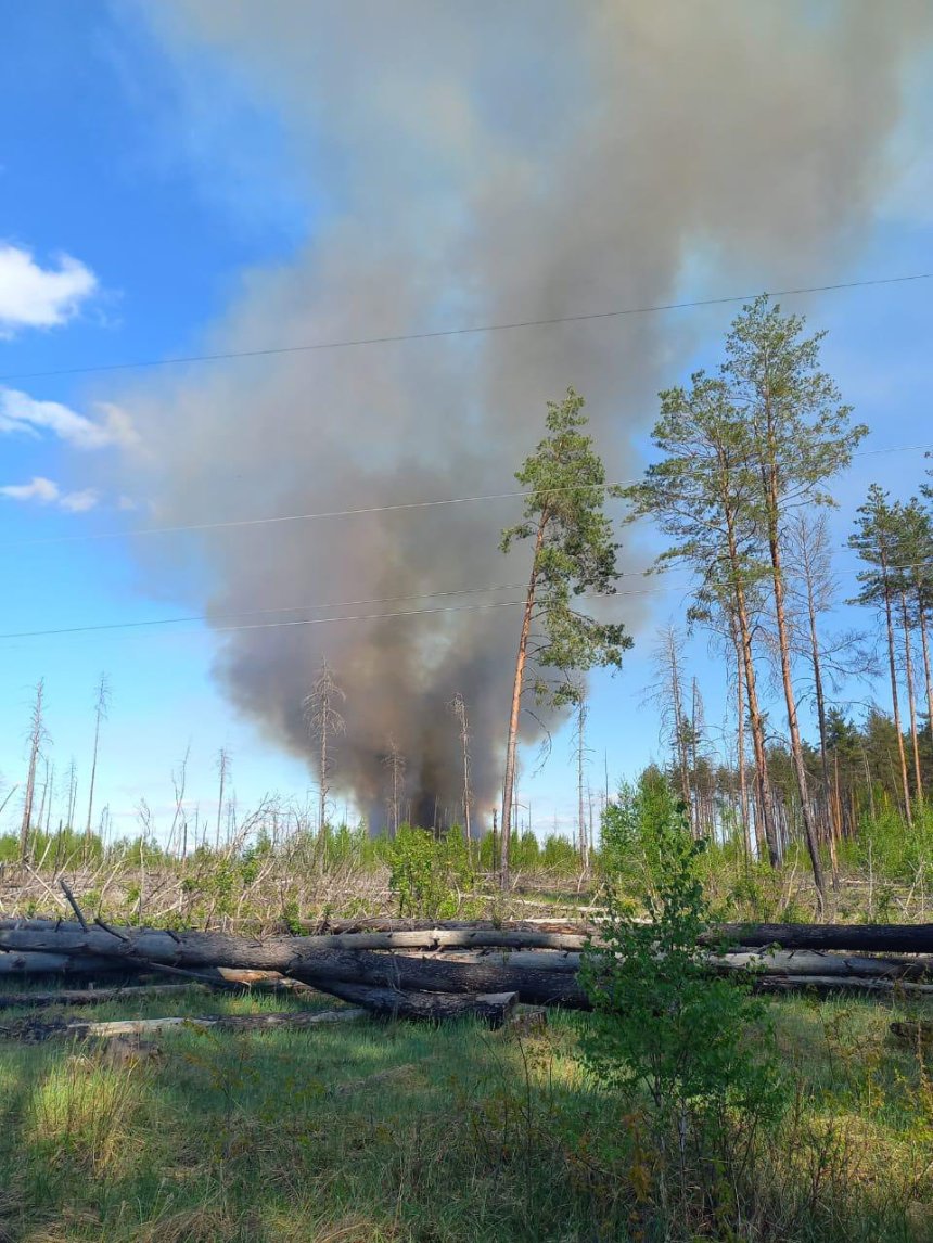 Фото до матеріалу: Пожежа в Чорнобильській зоні локалізована, але триває: який радіаційний фон (фото)