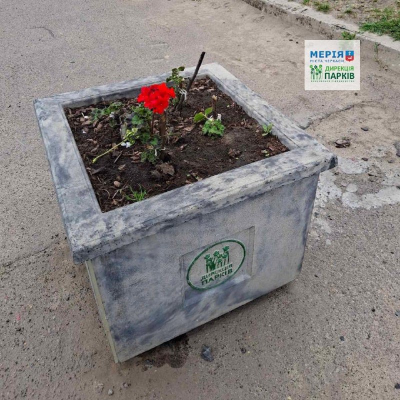 Фото до матеріалу: Вандали руйнують декоративні квіти на набережній Черкас
