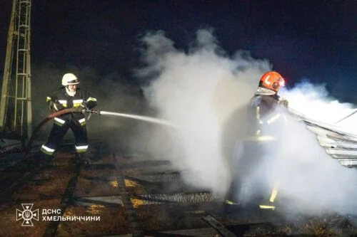 Фото до матеріалу: У Правдівці ліквідовано пожежу у виробничому цеху: рятувальники врятували кота