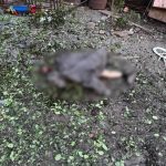 Фото до матеріалу: Прогноз погоди в Україні на тиждень травня 2026 року