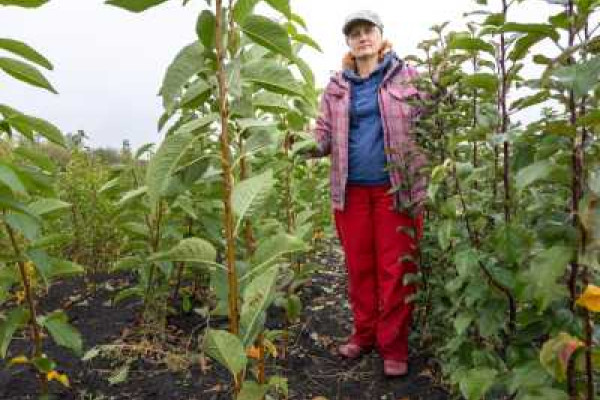 Фото до матеріалу: На Хмельниччині збудують дві великі птахофабрики