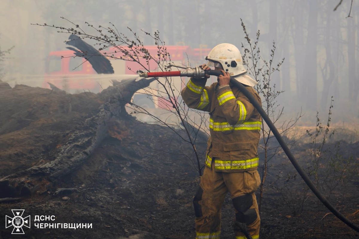 Фото до матеріалу: На Чернігівщині рятувальники локалізували масштабну лісову пожежу