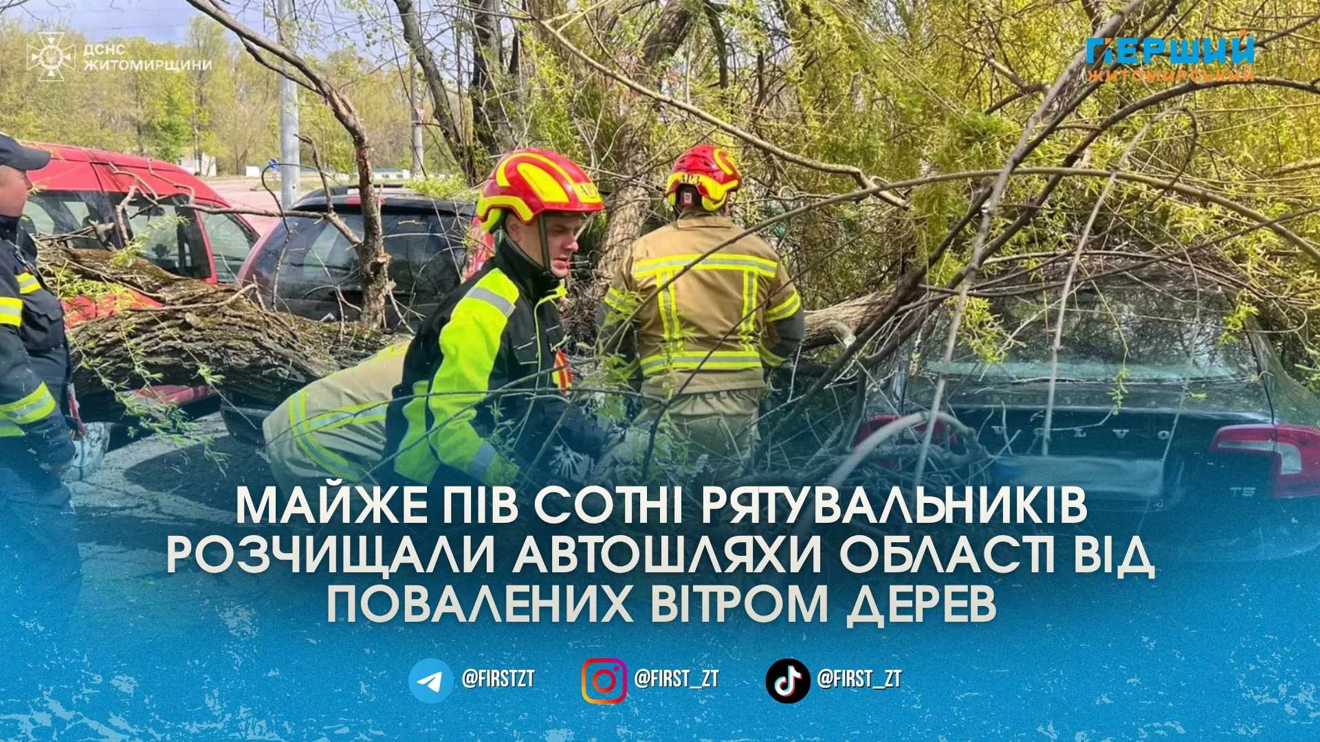 Фото до матеріалу: Сильний вітер впав дерева на дороги: рятувальники прибрали 12 стовбурів без жертв