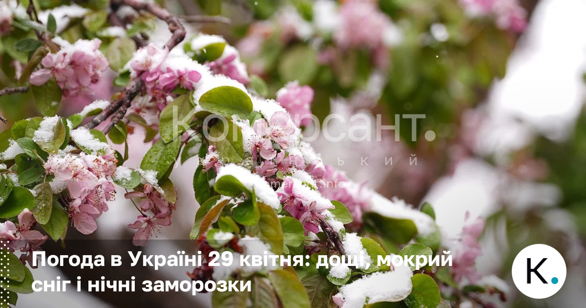 Фото до матеріалу: Погода в Україні 29 квітня: заморозки, мокрий сніг та ризик для врожаю