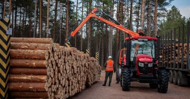 Фото до матеріалу: ДП «Ліси України» збільшило податки в 4 рази: 5,9 млрд грн дивідендів у 2025 році