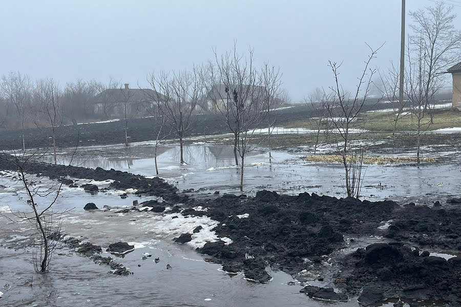 Фото до матеріалу: Ведення господарства в селі: поради та новини для українських дачників