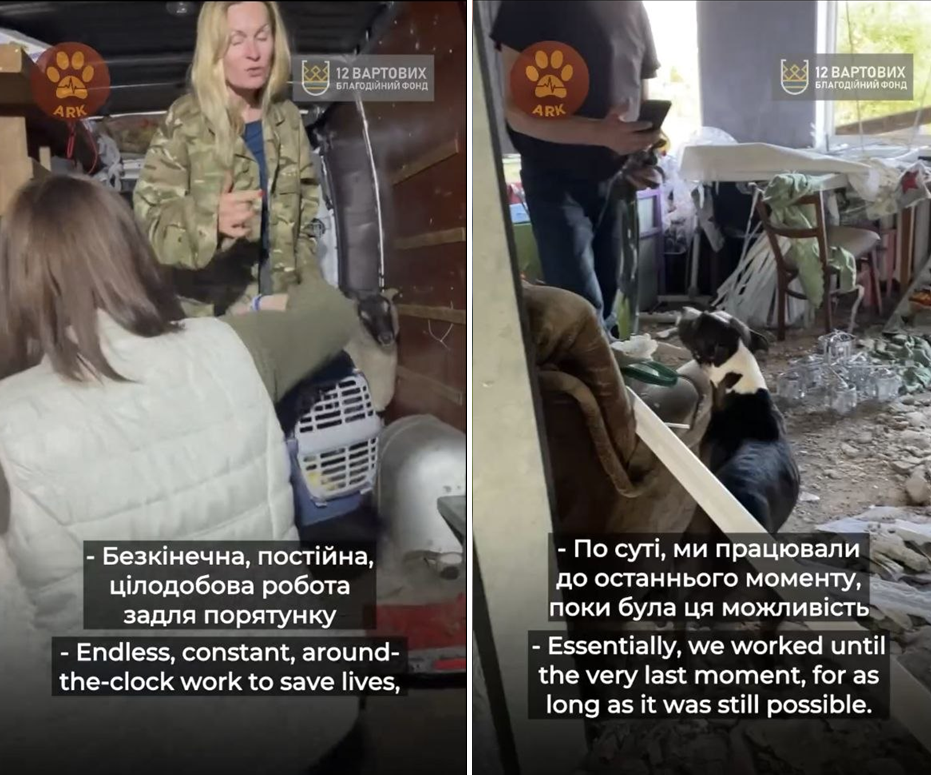 Фото до матеріалу: Волонтери врятували 1095 тварин із Вовчанська за 40 днів під обстрілами