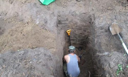 Фото до матеріалу: Дві жінки з Тальнівщини стали Мати-героїнями