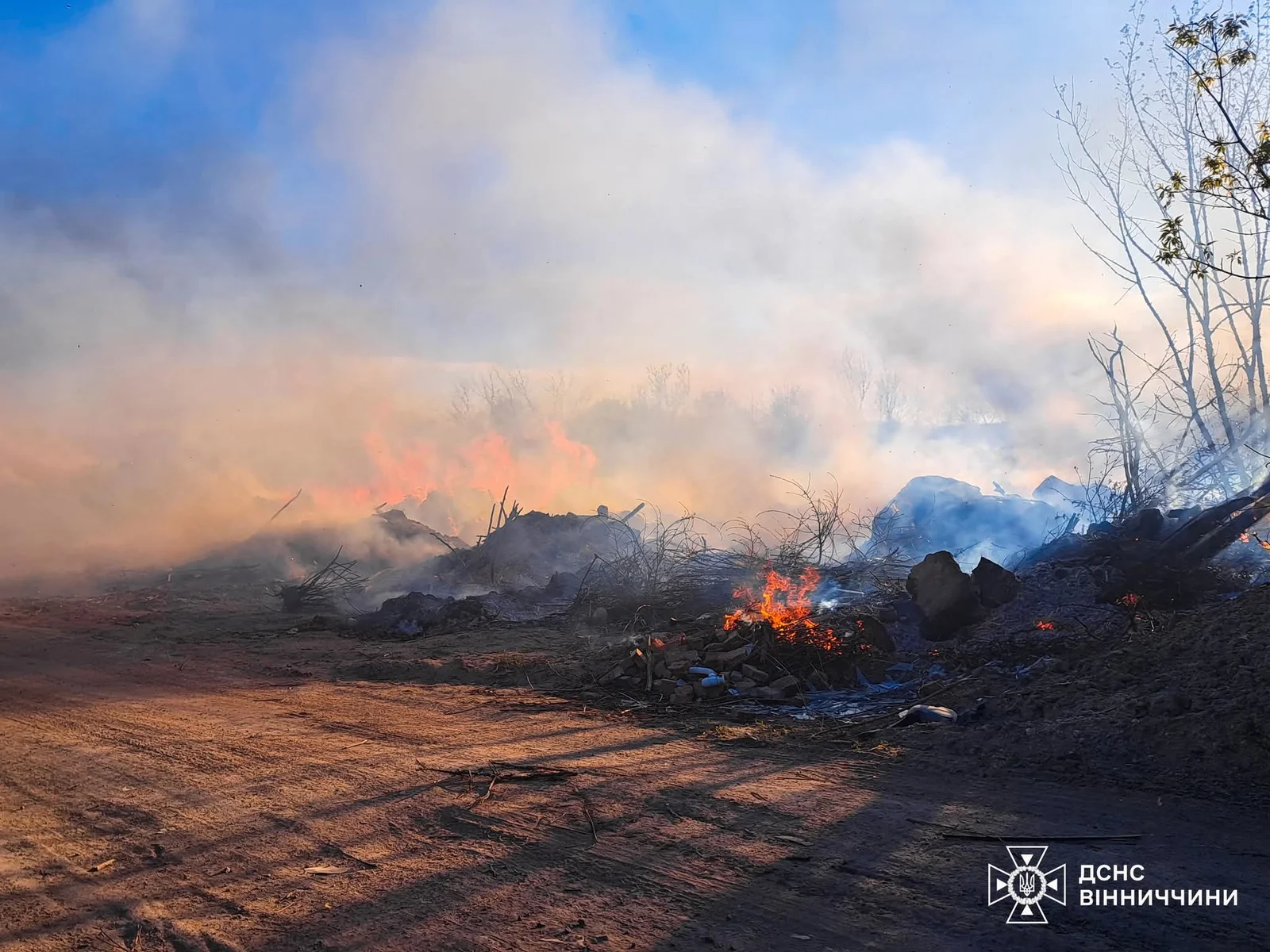Фото до матеріалу: Вогонь знищив понад три гектари на Вінниччині: деталі пожеж минулої доби