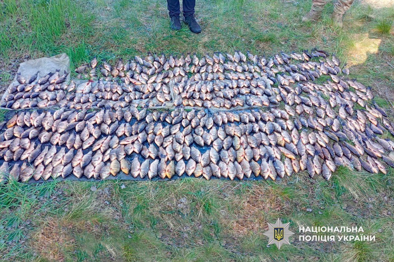 Фото до матеріалу: Операція «Нерест» на Черкащині: 38 кримінальних справ і понад 2 млн грн збитків