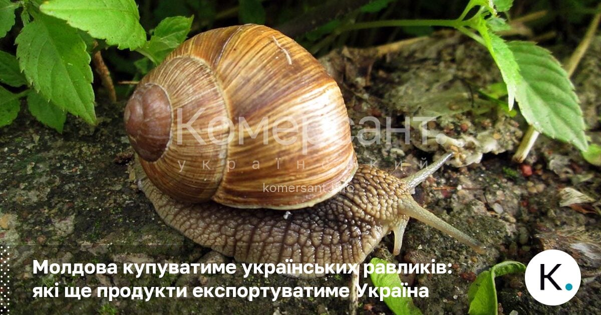 Фото до матеріалу: Молдова відкрила ринок для українських равликів та м'яса птиці