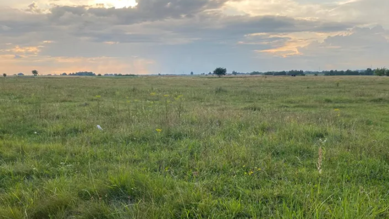 Фото до матеріалу: Корецька міська рада оголосила земельні аукціони: на торги виставили п'ять ділянок