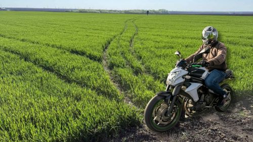 Фото до матеріалу: Підлітки на мотоциклах пошкодили посіви пшениці у Великогаївській громаді