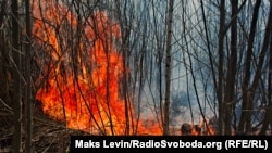Фото до матеріалу: ДСНС: з 11 тисяч пожеж в екосистемах від початку року лише 350 спричинила агресія Росії