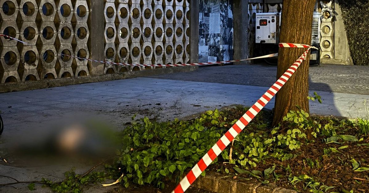 Фото до матеріалу: Австралієць скоїв самогубство стрибнувши з вежі Ратуші у Львові — LVIV.MEDIA