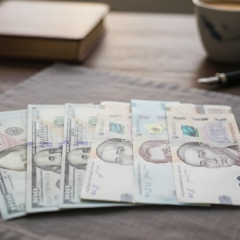 Фото до матеріалу: Польща профінансує нову трасу М10 до Львова: борг покриють водії