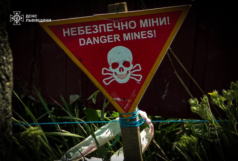 Фото до матеріалу: Піротехніки знищили міну часів Другої світової в Янгелівці