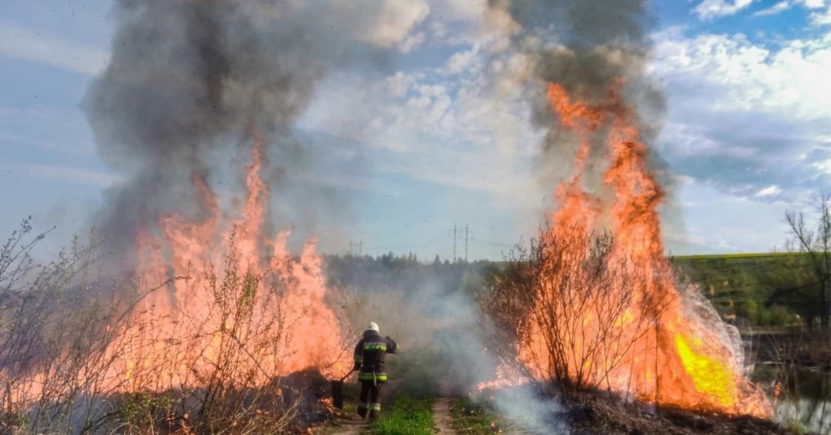 Фото до матеріалу: 19 пожеж за добу на Вінниччині: гектари випаленої землі та загроза житловим будинкам