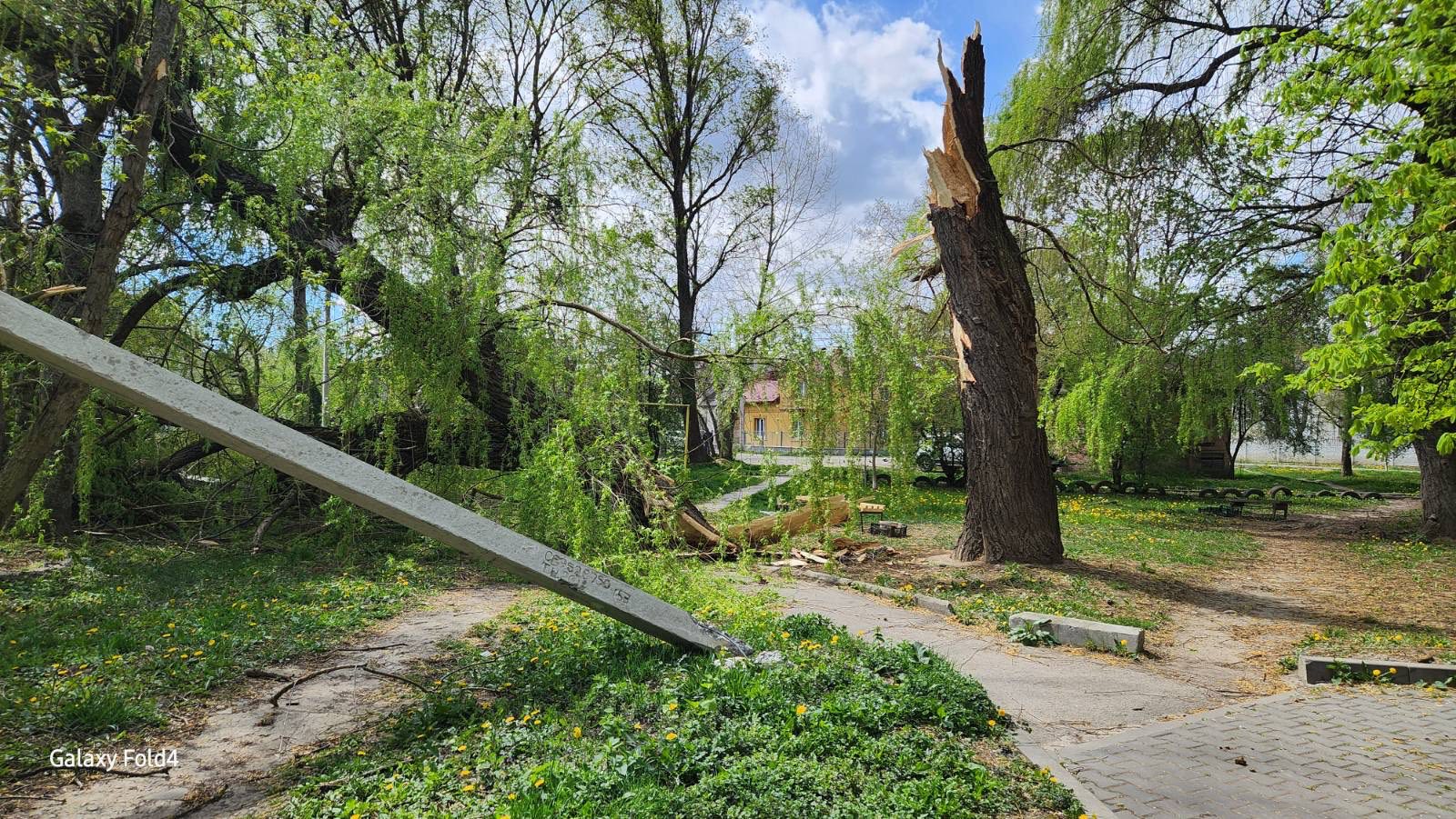 Фото до матеріалу: В Івано-Франківську ліквідують наслідки шторму: пошкоджено дахи та дерева