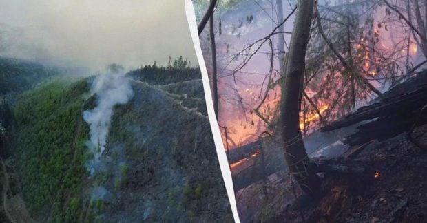 Фото до матеріалу: Лісова пожежа на Мукачівщині: сотні рятувальників та авіація борються з вогнем