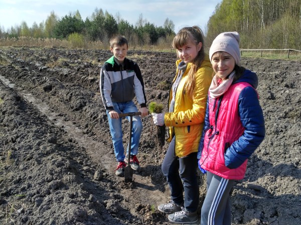 Фото до матеріалу: Учні Світязької школи разом із лісниками висадили нові саджанці сосен і берізок