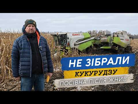 Фото до матеріалу: Прихована загроза врожаю: як метаболіти пестицидів впливають на кукурудзу та сою