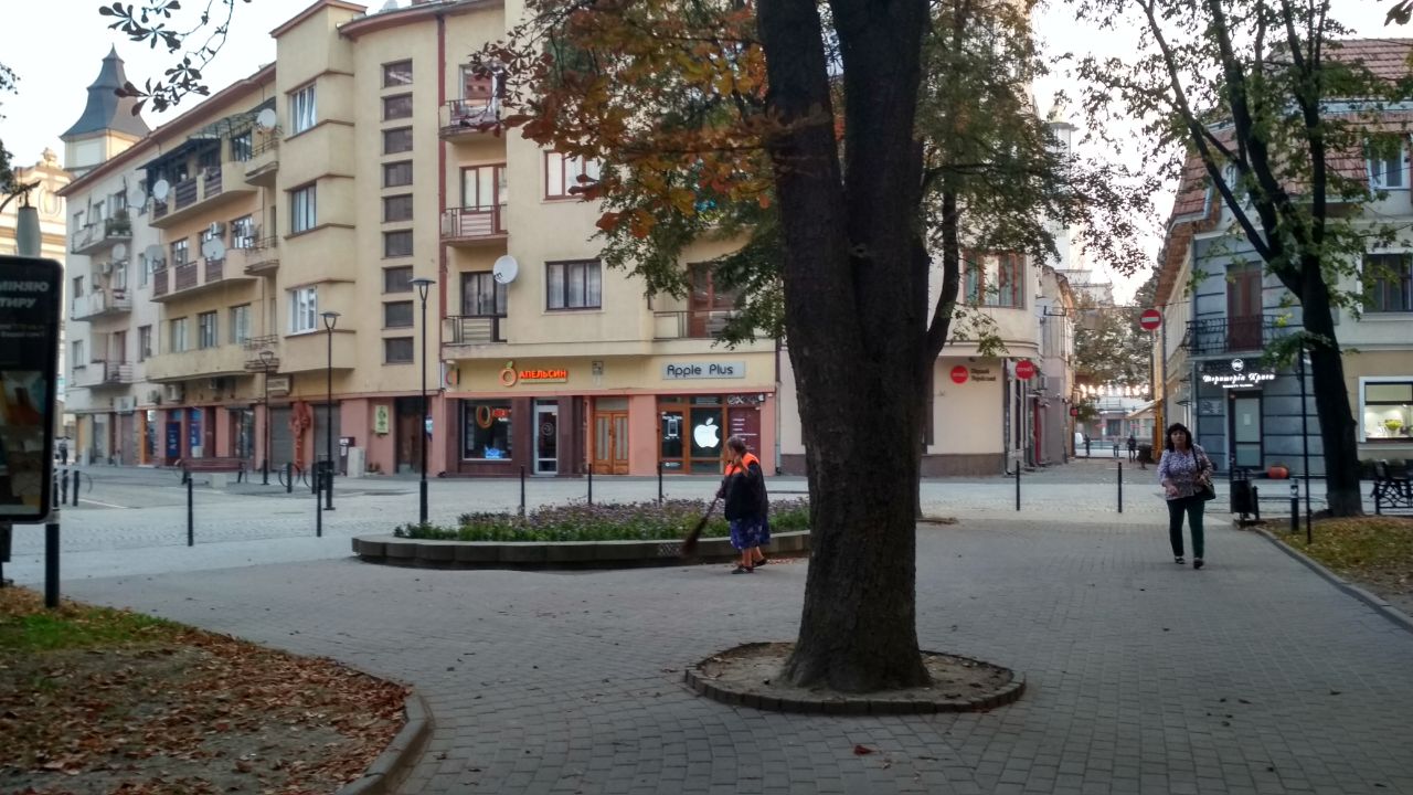 Фото до матеріалу: У Івано-Франківську розпочалося голосування за найкращого двірника