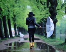 Фото до матеріалу: Штрафи за номерні знаки зросли до 5100 грн: що заборонено робити водіям