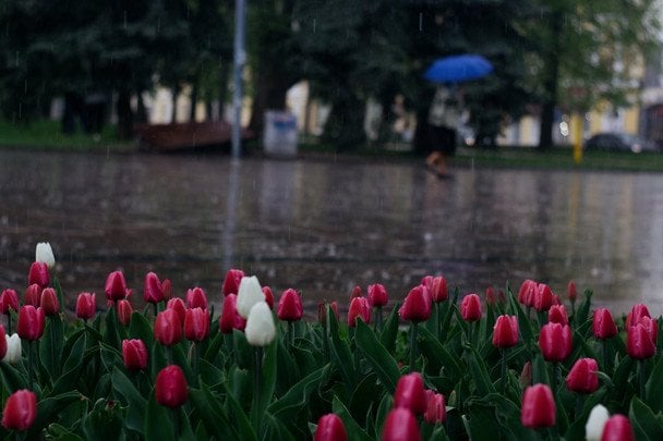 Фото до матеріалу: 4 травня 2026: пам'ять святої мучениці Пелагії — що молитися та народні прикмети у Володимирі