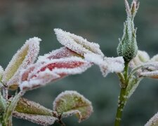 Фото до матеріалу: Гороскоп на 22 грудня: як провести день без поспіху і знайти внутрішній порядок