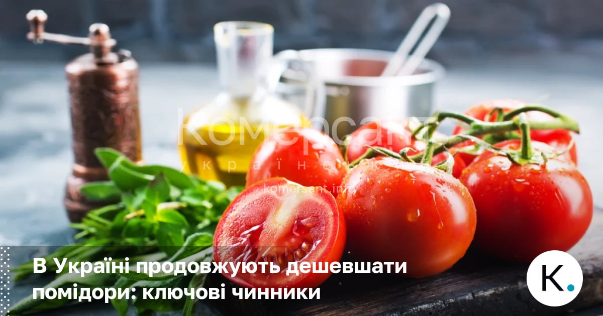 Фото до матеріалу: Ціни на тепличні помідори в Україні продовжують падати