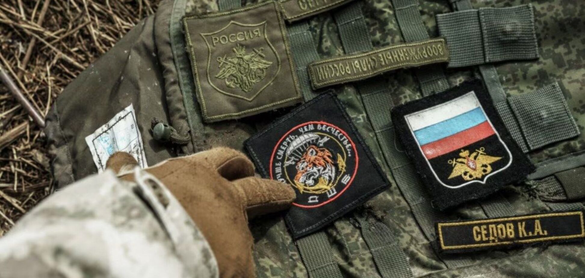 Фото до матеріалу: Олена Степова - новини сьогодні, біографія, фото, відео, історія життя