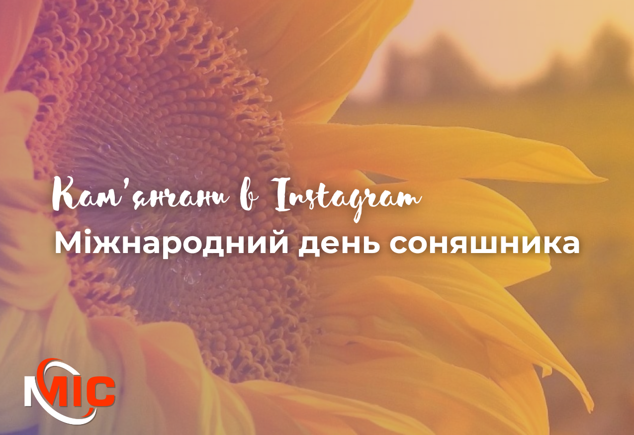Фото до матеріалу: Кам'янчани святкують Міжнародний день соняшника: квіти як символ надії