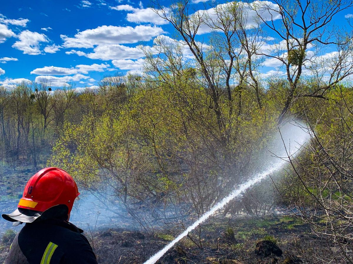 Фото до матеріалу: Сусіди врятували вінницьку пенсіонерку, яка не виходила на зв'язок