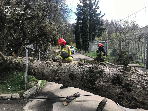 Фото до матеріалу: Сильний вітер пошкодив покрівлю будинку в Уманському районі та повалив 45 дерев по Черкащині