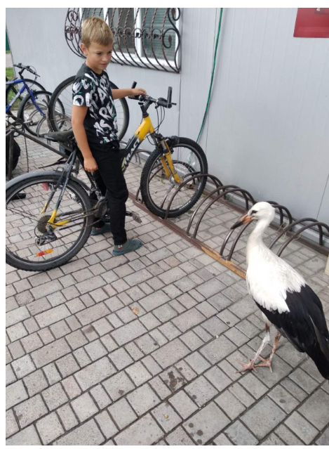 Фото до матеріалу: 85-річний фотограф Зеновій Коваль продовжує обганяти час