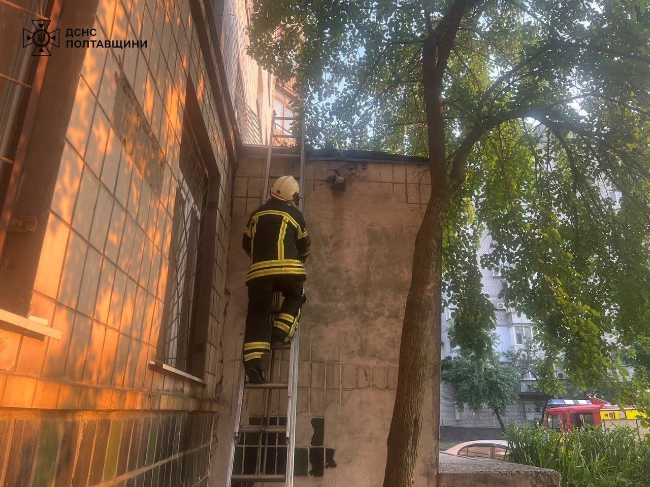 Фото до матеріалу: Рятувальники двічі врятували котів у Кременчуці та Горішніх Плавнях
